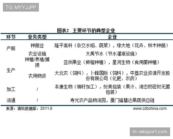 战术专栏：现代手球中“超人”防守战术的演变与应对之道